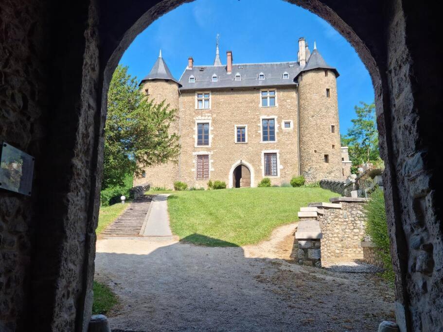 Chateau D'Uriage - Duplex Avec Terrasse Privative Saint-Martin-dʼUriage Exterior foto